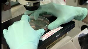 Mold Testing Rockford IL