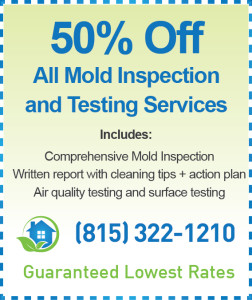 Rockford Mold Inspection Coupon